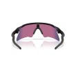 Oakley Radar EV Heater Sunglasses | Performance Sport Eyewear
