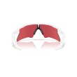 Oakley Radar EV Heater OO9541 Performance Sunglasses