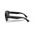 Ray-Ban RB2229 901/71 Sunglasses | Black Frame & Green Lenses