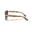 Persol PO8002S 1243B1 Sunglasses | Milky Yellow Havana | Luxury Eyewear