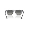 Ray-Ban Original Wayfarer RB2140 684671 - Transparant Grijs