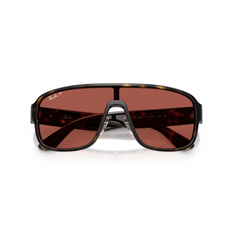 Lunettes de soleil Ray-Ban RB2229 710/1B Havana | Achat en ligne