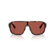 Ray-Ban RB2229: Occhiali da Sole Unisex in Propionato | Stile Iconico