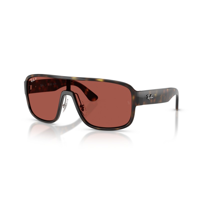 Ray-Ban RB2229: Occhiali da Sole Unisex in Propionato | Stile Iconico