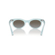 Occhiali da sole donna Ray Ban 2242 1385/96 Luxury nuova collezione