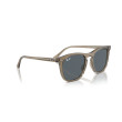 Occhiali da sole uomo Ray Ban 2210 6765R5 Luxury nuova collezione