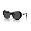 Women's Sunglasses Swarovski 6017 100187 Luxury new collection